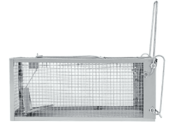 USA Mouse Trap Rat Trap Rodent Trap Live Catch Cage, Easy To Set Up And Reuse (Option: Gray)